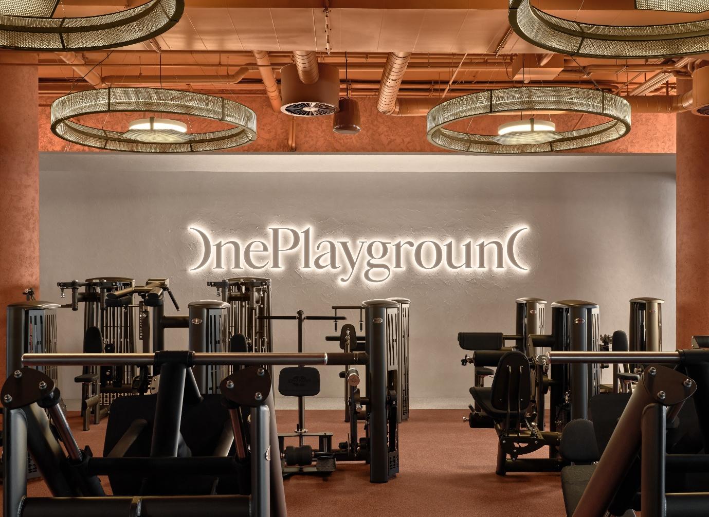Completed ceiling and feature wall systems at One Playground